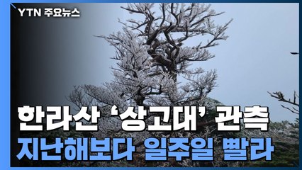 [영상] 제주 한라산 '상고대' 관측...지난해보다 일주일 빨라 / YTN