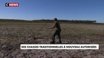 Des chasses traditionnelles à nouveau autorisées