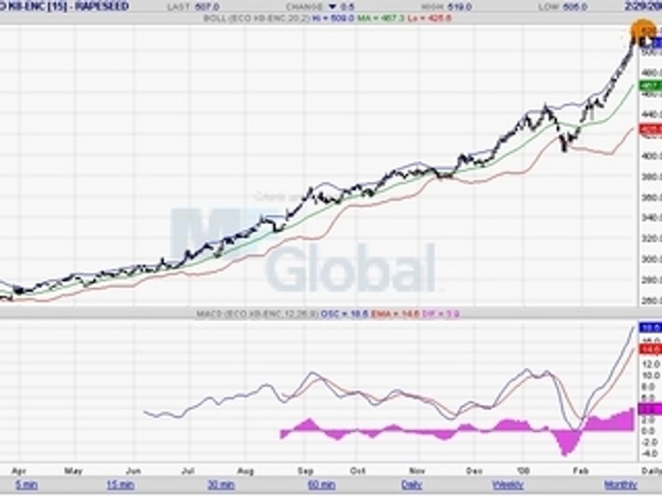 COLZA EURONEXT 02.03.08