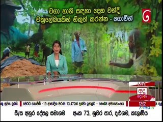 Ada Derana Lunch Time News 17-10-2021