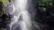 Nature video⁣ Waterfall with little stones in a temperate forest.Waterfall in forest