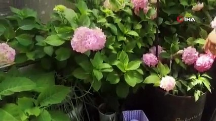 Kış uykusuna yatmayan yılan eve girdi, herkes evi boşalttı