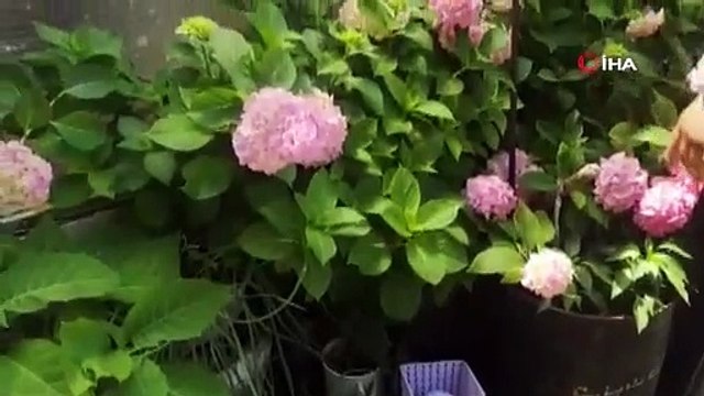 Kış uykusuna yatmayan yılan eve girdi, herkes evi boşalttı