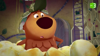 الفشار يتسبب في حزن باكي