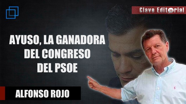 Rojo vs. Pereira: “Y el ganador del Congreso de PSOE es…Isabel Díaz Ayuso”