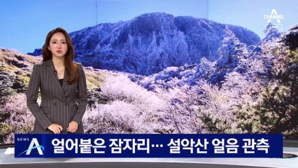 가을 잠자리 ‘꽁꽁’ 얼어붙었다…설악산도 얼음 관측