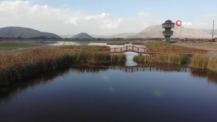 Son dakika... Kaz gölünde sonbahar manzarası mest etti