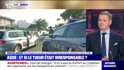 Retraitée décapitée à Agde: quel est le profil du suspect ?