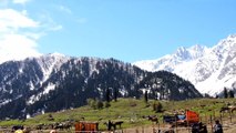 My Kashmir tour vlog 2015 || Pahalgam || Sonmarg || Gulmarg || Shrinagar || gujrat tourism