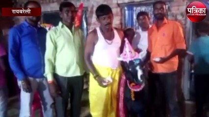 रायबरेली में इस अनोखे बकरे का 9 सालों से मनाया जाता है जन्मदिन, जाने इसकी खासियत