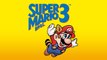 Super Mario Bros 3 TAS