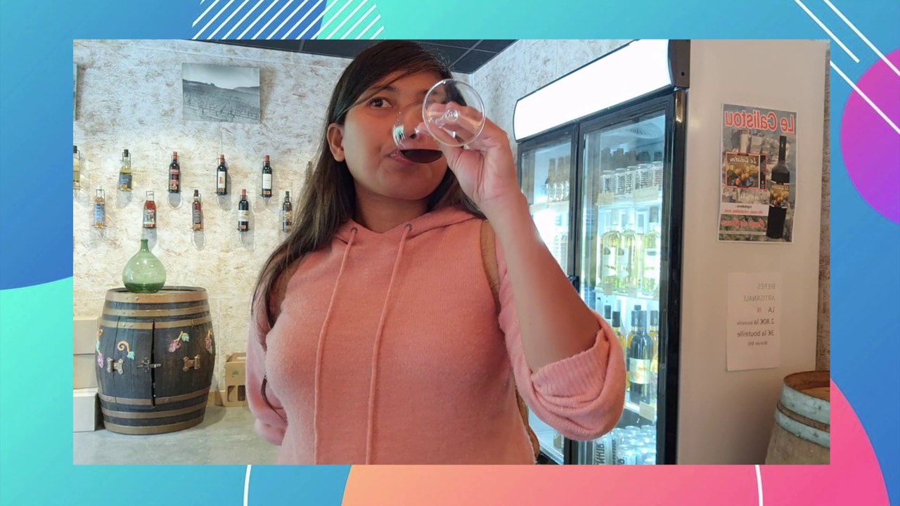 QUICK CHÂTEAU DE  PEYRELADE  TRIP  + WINE TASTING  || TRAVEL WITH SHERYL