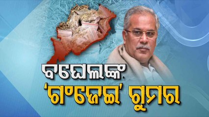 Tải video: Politics Heats Up After Chhattisgarh CM Targets Odisha Over Smuggling Of Ganja