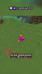 Minecraft in One Chunk