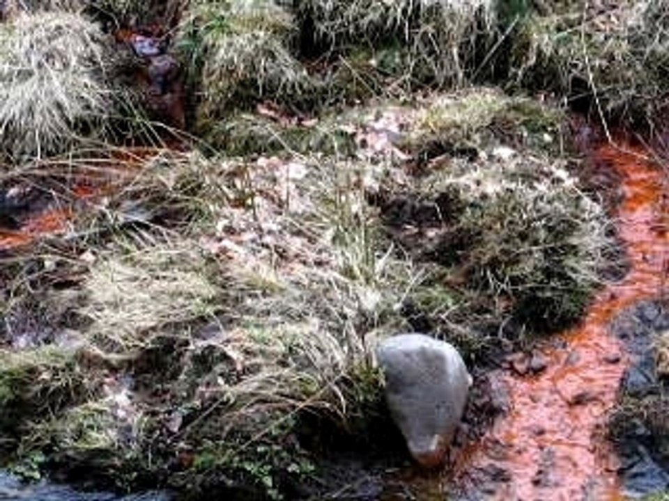 Picherande5