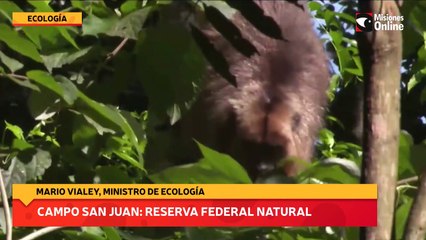Campo San Juan: reserva federal natural