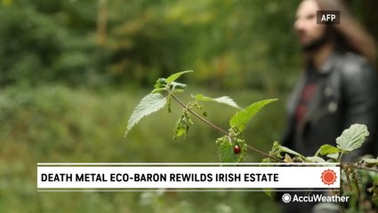 Death metal eco-baron rewilds Irish estate