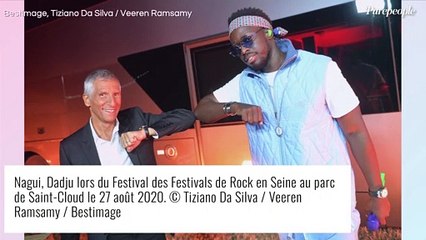 "C'est une claque !" Nagui a perdu beaucoup d'argent en produisant l'émission The Artist