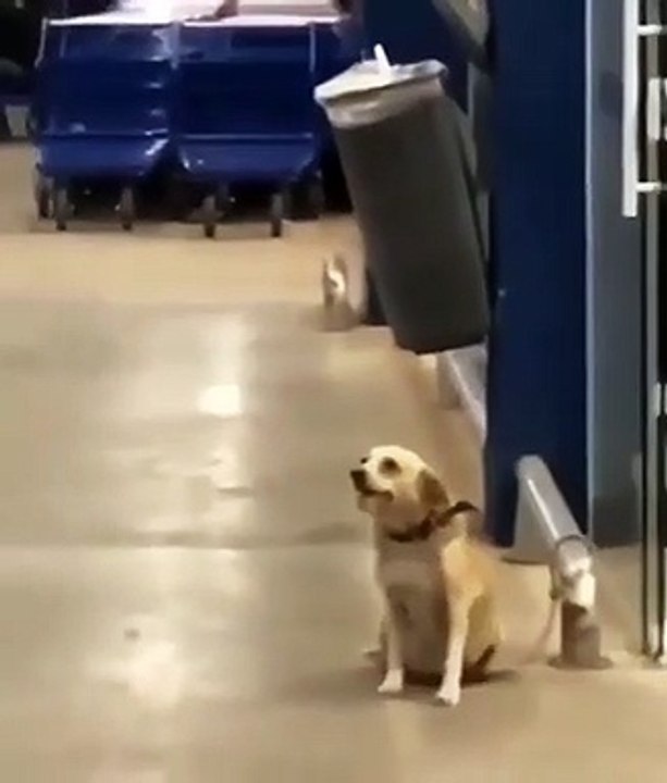 Would you give him a hand? 