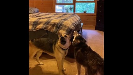 Where They Do That At