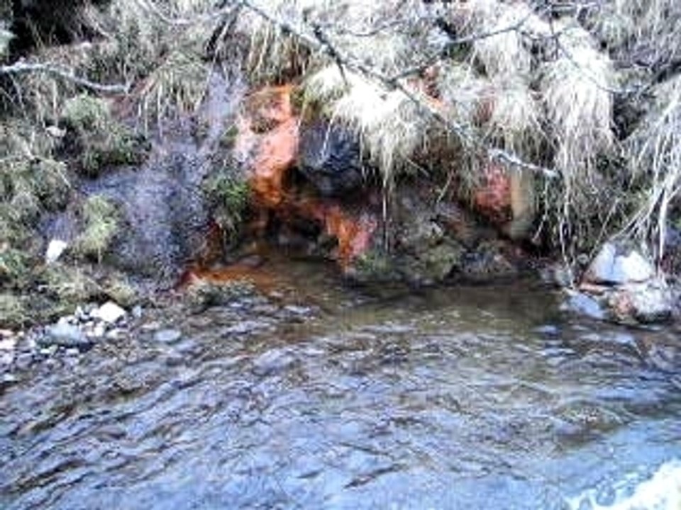 Picherande6