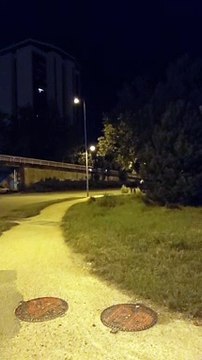 Grenoble Octobre 2021 #France #Isère #grenoble #grenoblecity #grenobletourisme #grenoblealpesmetropole #grenoblelife (81)