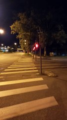 Grenoble  Octobre  2021 #France  #Isère   #grenoble #grenoblecity  #grenobletourisme   #grenoblealpesmetropole  #grenoblelife (75)