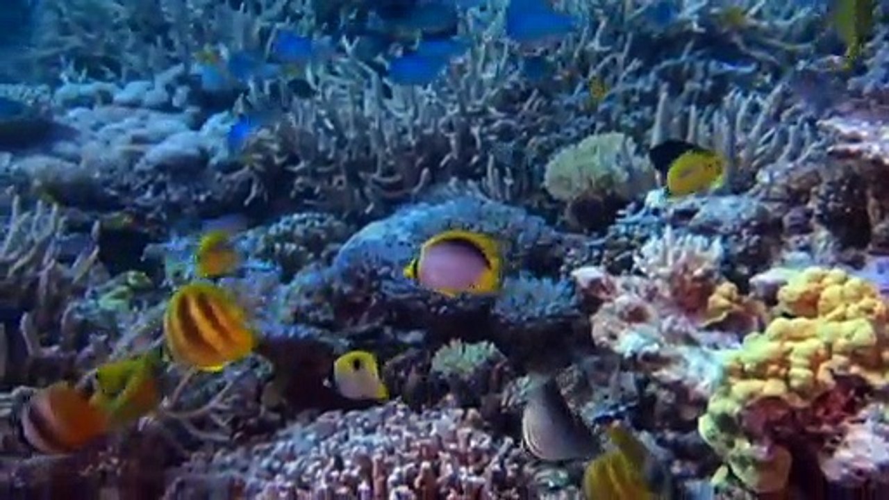 Nationals yet to agree on 2050 net-zero emissions target