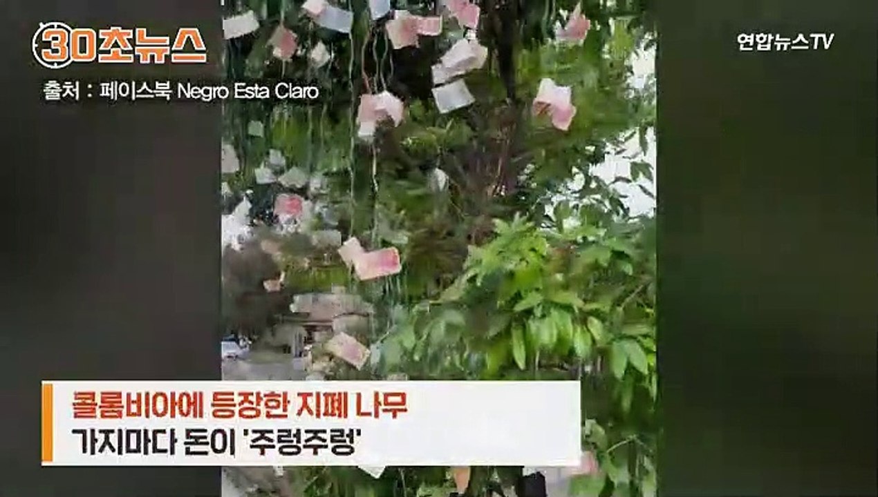 [30초뉴스] 나무에 지폐가 주렁주렁…한 유튜버의 '선행'