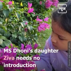 Ziva Dhoni Is Among India’s Most Adored Star Kids