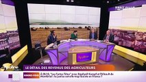 L’info éco/conso du jour d’Emmanuel Lechypre : Les détails des revenus des agriculteurs - 18/10