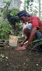 KETIKA ORANG JOMBLO 10TH DIGODAIN CEWEK,, GINI JADINYA!!!