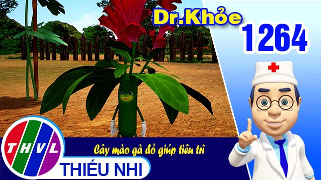 Dr. Khỏe - Tập 1264: Cây mào gà đỏ giúp tiêu trĩ