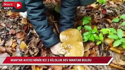 Mantar avcısı minik kız 2 kiloluk dev mantar buldu