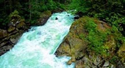 Relaxing Instrumental Music for sleeping Water Piano Birds