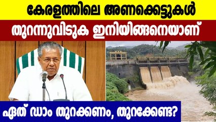 The opening of the dam will be decided by a committee of experts: a decision at a high-level meeting