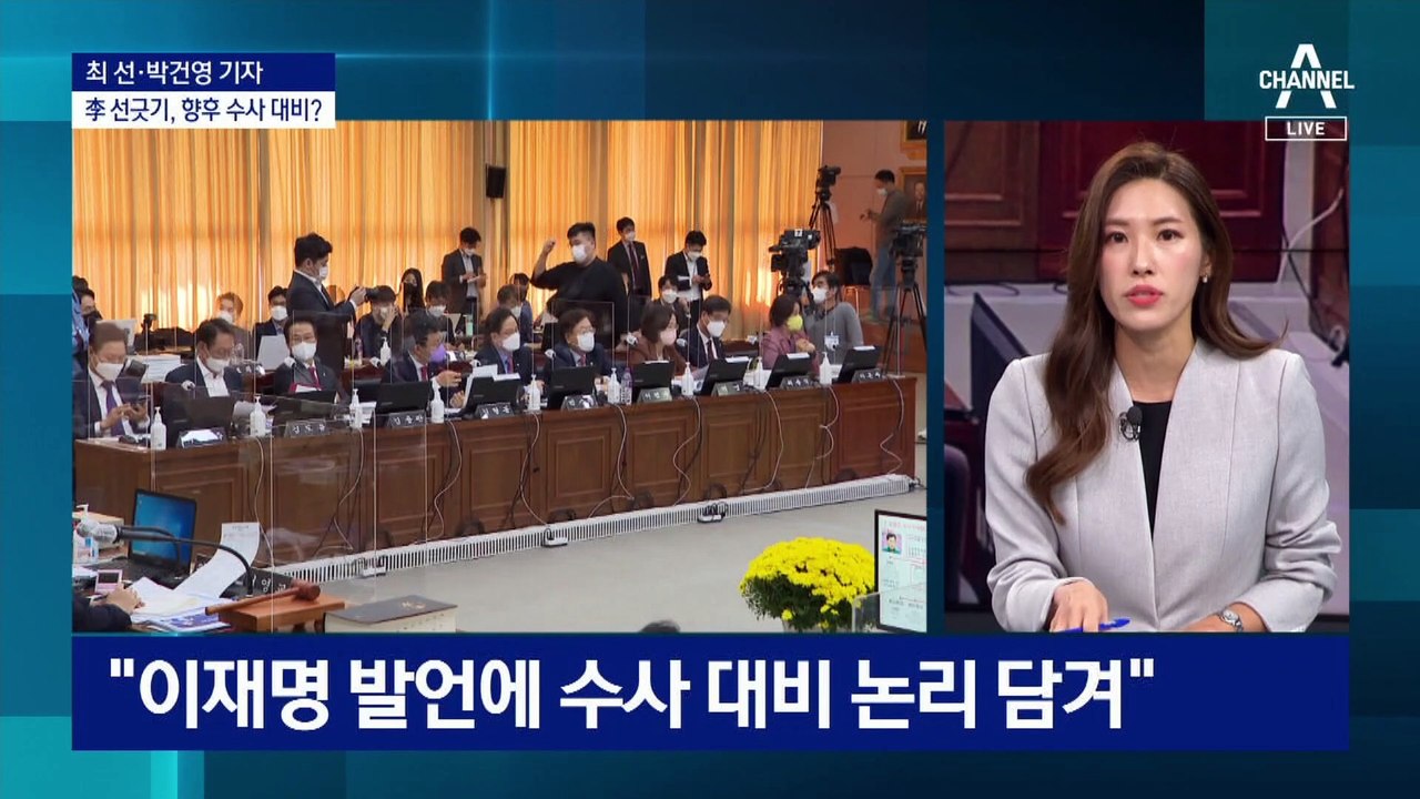 ‘한 방’ 없었던 대장동 국감…이재명 후보의 ‘선긋기’?