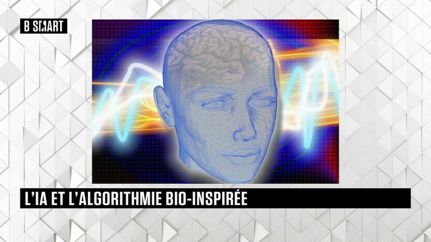 L'IA et l'algorithme bio-inspiré 