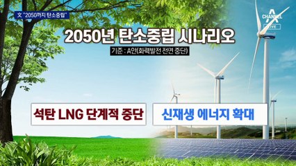 2050년까지 탄소 배출 ‘0’…“감내하기 힘들다” 업계 불만