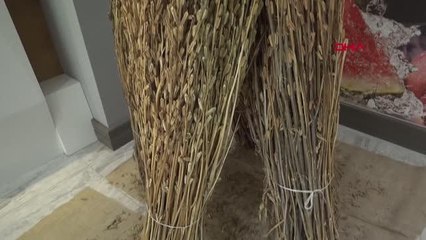 MANAVGAT 'ALTIN SUSAMI'NA COĞRAFİ İŞARET