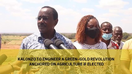 Kalonzo to engineer a green-gold revolution anchored on Agriculture if elected