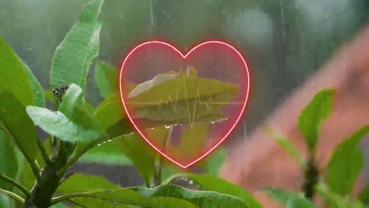 Pahit akan manis akhirnya - UKAYS ( Akustik version )