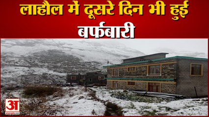 Fresh Snowfall In Lahaul Himachal Pradesh | पर्यटकों ने बर्फ के फाहों के बीच की मस्ती