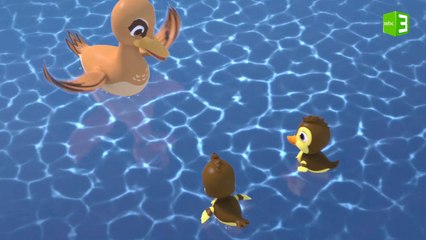 عائلة البط مهددة والسبب ملاعب الجولف