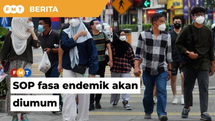 SOP fasa endemik akan diumum dalam masa terdekat, kata Hishammuddin
