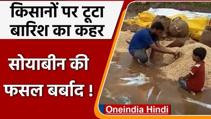 Rain Destroy Crop: बारिश ने तबहा की सोयाबीन की फसल, Video में रो रहा किसान, देखिए | वनइंडिया हिंदी