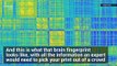 Your Brain’s ‘Fingerprint’ Can Be Identified in Just 100 Seconds