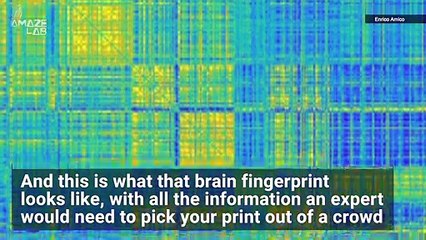 Your Brain’s ‘Fingerprint’ Can Be Identified in Just 100 Seconds