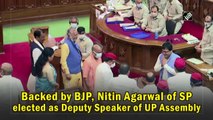 Backed by BJP, SP's Nitin Agarwal elected as Deputy Speaker of UP Assembly