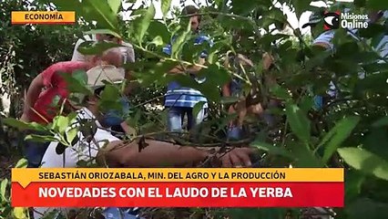 Novedades con el laudo de la yerba